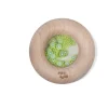Petit Boum · Sensory donut Kiwi*Niños Juguetes Montessori|Juguetes Antiestrés
