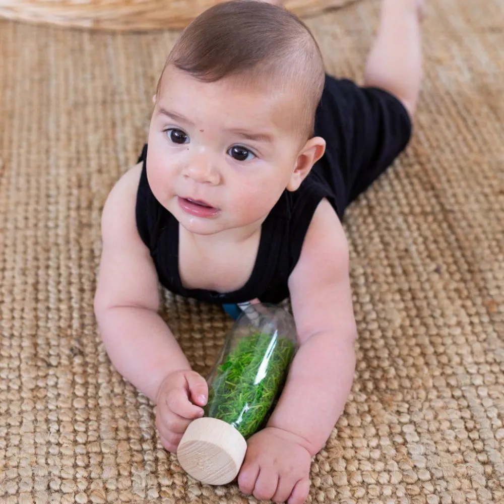 Petit Boum · Sound Bottle Ladybirds*Niños Juguetes Montessori|Juguetes Antiestrés