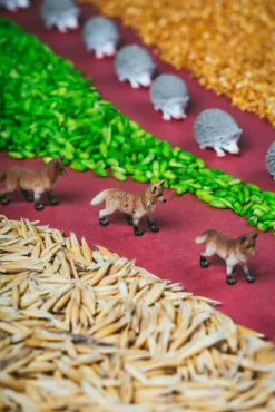 Petit Boum · Spy Bottle Forest*Niños Juguetes Montessori|Juguetes Antiestrés