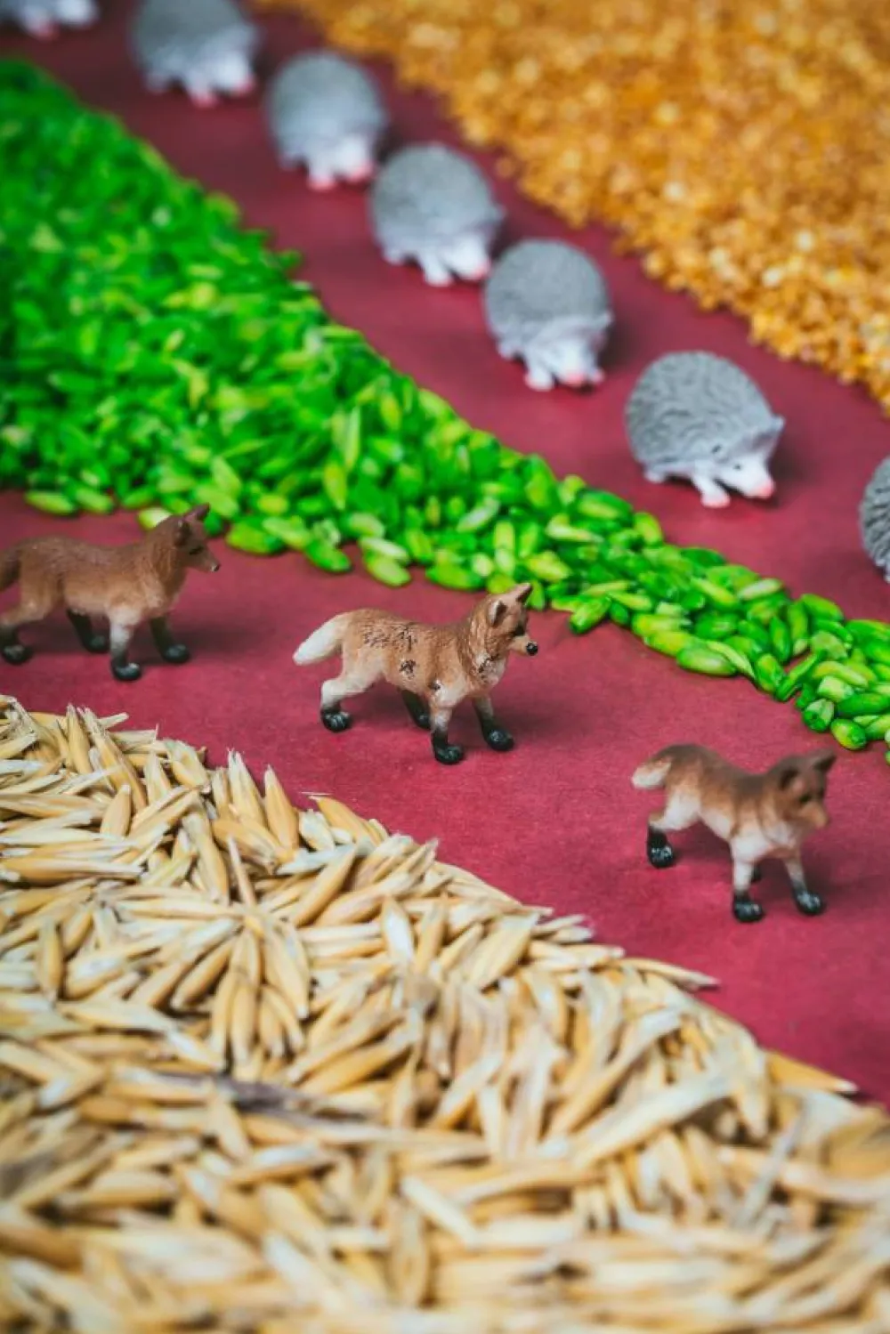 Petit Boum · Spy Bottle Forest*Niños Juguetes Montessori|Juguetes Antiestrés