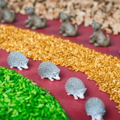 Petit Boum · Spy Bottle Forest*Niños Juguetes Montessori|Juguetes Antiestrés