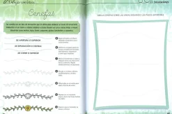 Susaeta Productos Lettering para niños: Dibujar con letras* Libros Para Regalar A Mamá