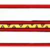 Btbox Pulsera Infoband Jirafa* Accesorios Para Salir Fuera Y Viajar