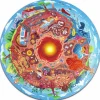 Hape Puzle Mundo Subterráneo ·*Niños Puzzles Hape|Puzzles De Madera Para Niños Y Niñas