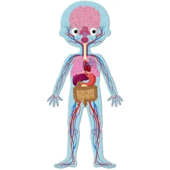 Janod Puzzle · Cuerpo Humano -*Niños Puzzles 100 Piezas|Puzzles 54 Piezas