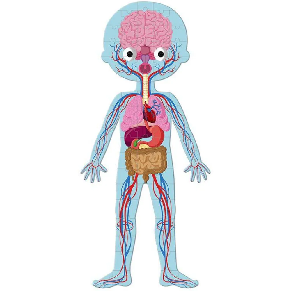 Janod Puzzle · Cuerpo Humano -*Niños Puzzles 100 Piezas|Puzzles 54 Piezas