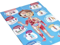 Hape Puzzle Cuerpo Humano ·*Niños Puzzles 100 Piezas|Puzzles Hape