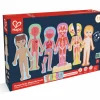 Hape Rompecabezas magnético del cuerpo humano ·*Niños Puzzles Hape|Puzzles Encajables
