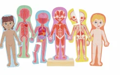 Hape Rompecabezas magnético del cuerpo humano ·*Niños Puzzles Hape|Puzzles Encajables