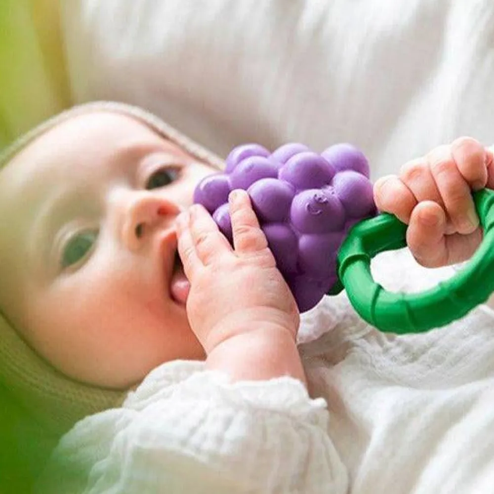 Oliu0026Carol Sonajero · Grape Rattle Toy*Niños Mordedores|Oli & Carol