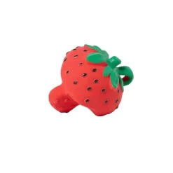 Oliu0026Carol Sweetie the Strawberry*Niños Mordedores|Oli & Carol