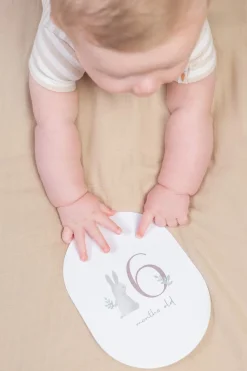 Little Dutch Tarjetas Milestone Baby Bunny ·*Niños Juegos De Viaje
