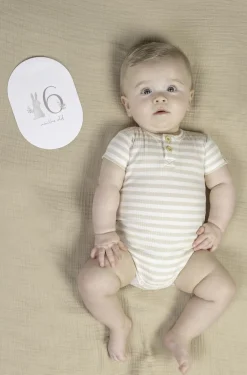 Little Dutch Tarjetas Milestone Baby Bunny ·*Niños Juegos De Viaje