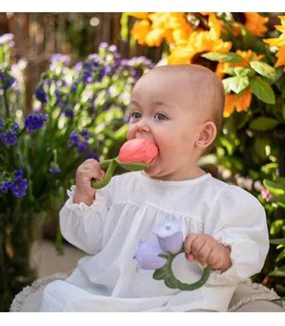 Oliu0026Carol Theo the Tulip*Niños Mordedores|Oli & Carol