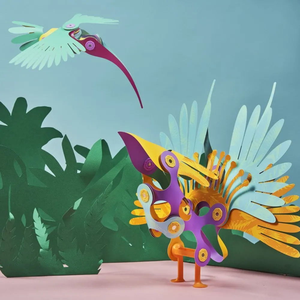 Clixo Tropical Birds ·*Niños Clixo