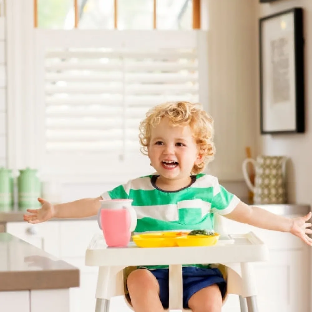 Munchkin Vaso Antiderrame con Asa y Tapa - Miracle 360º Verde ·* Vasitos De Agua Infantiles